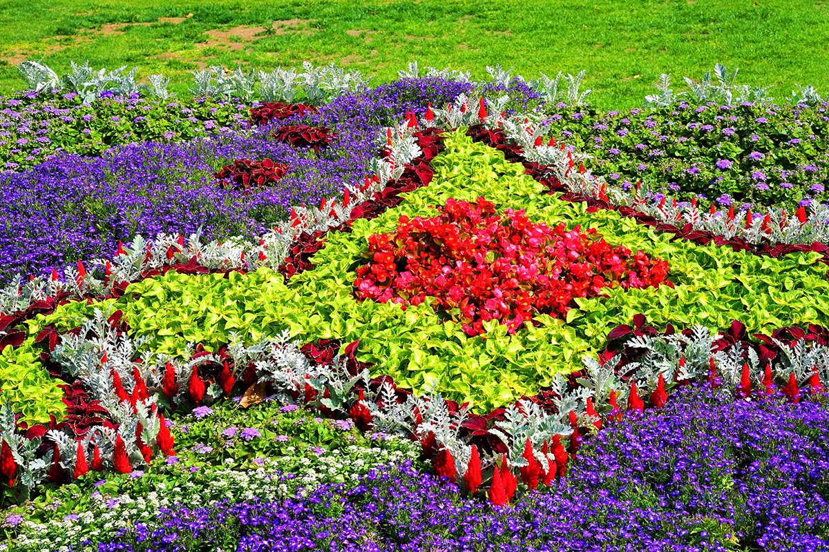 🌳 북유럽의 숲 공원(호쿠오노모리코엔) 이미지 9